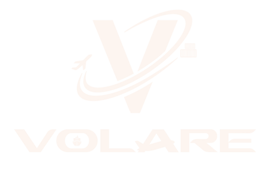 Versão branca do logotipo Volare Logística